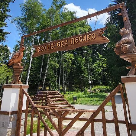 Pinewood Ang Luxurious Apartment A43, Borovets Gardens المظهر الخارجي الصورة