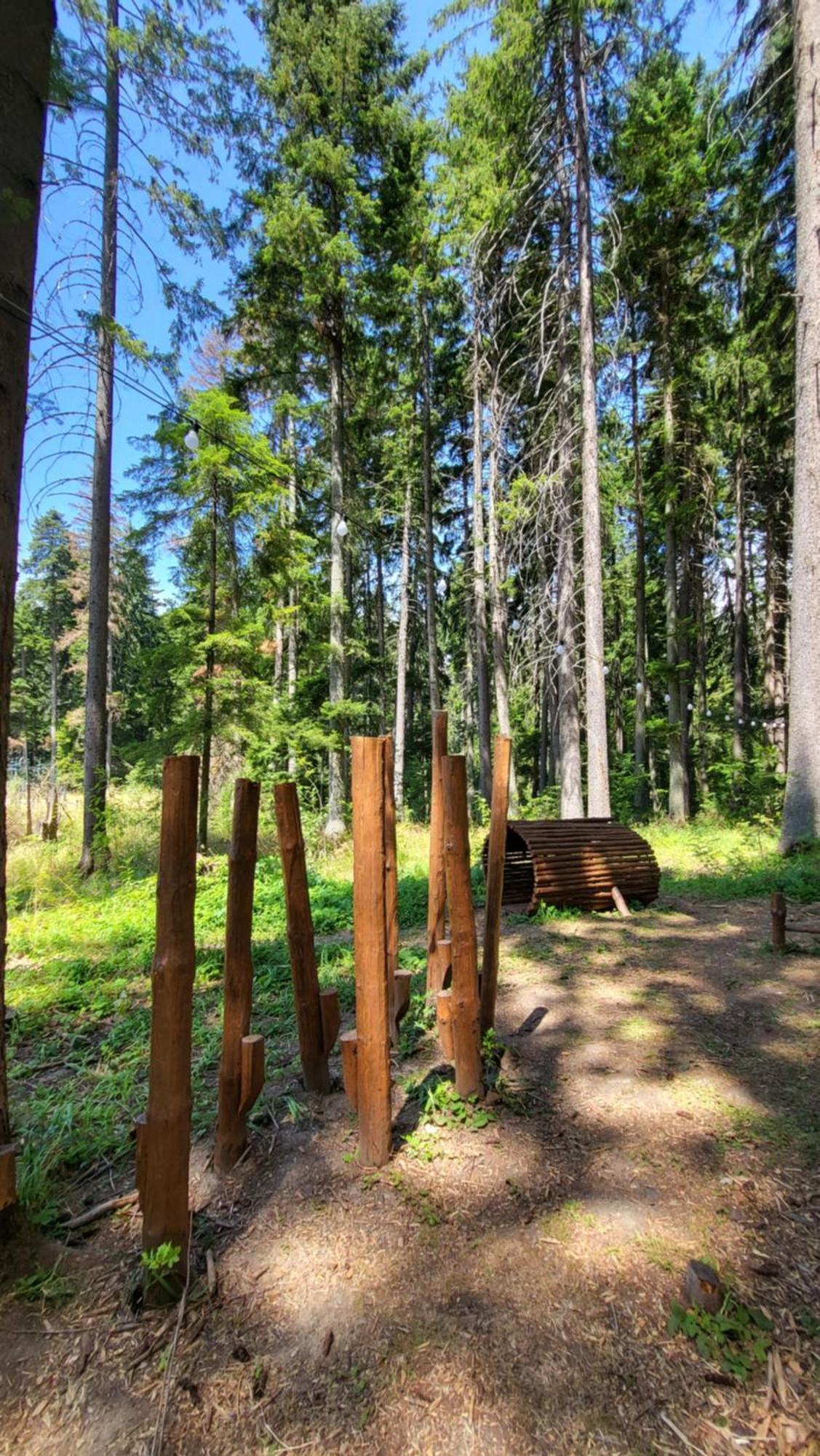 Pinewood Ang Luxurious Apartment A43, Borovets Gardens المظهر الخارجي الصورة