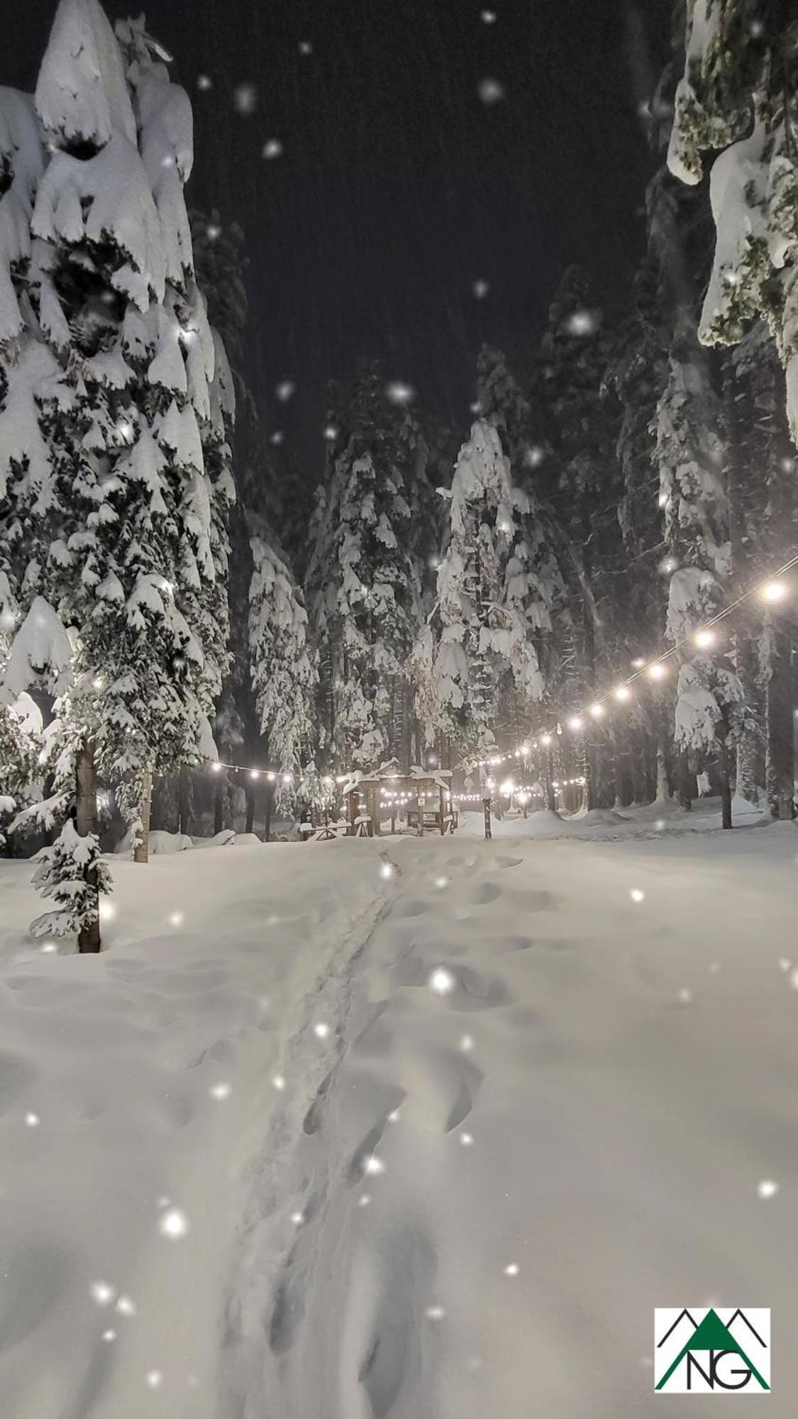 Pinewood Ang Luxurious Apartment A43, Borovets Gardens المظهر الخارجي الصورة